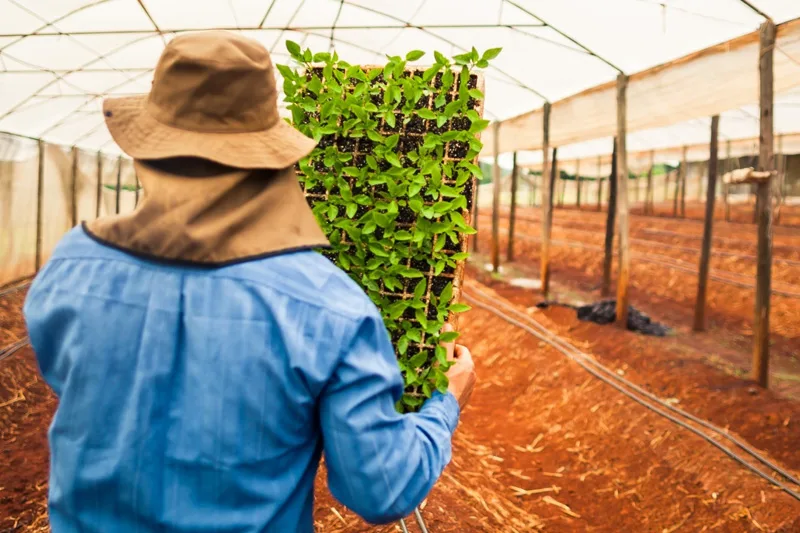 Setor agropecuário goiano criou 4.814 vagas de emprego com carteira assinada no mês de março, destaque para produção de sementes e mudas certificadas. Foto: Wenderson Araujo/CNA