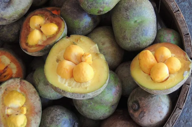 São frutos que possuem alto valor nutricional, sabor e aroma característicos e que são desconhecidos muitas vezes pelos brasileiros. Foto: Agência Cora Coralina de Notícias.