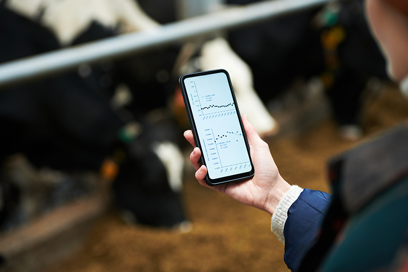 Mão segurando celular.