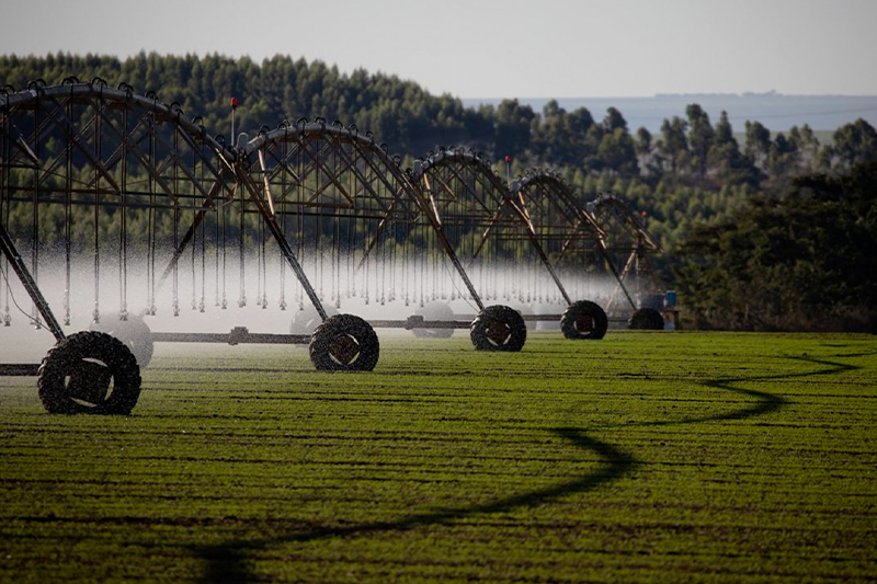 Foto: Wenderson Araujo-CNA