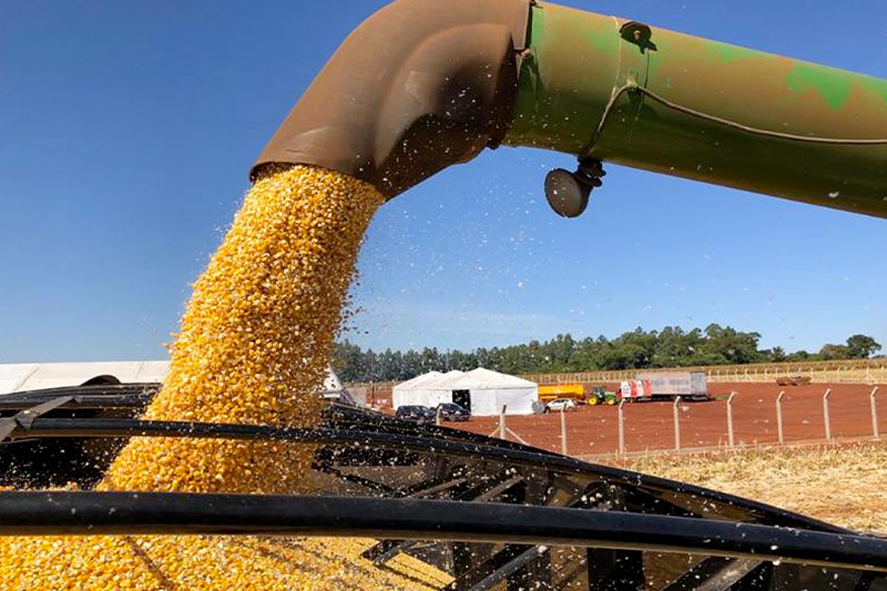 Os recursos são direcionados a médios e grandes produtores enquadrados no Pronamp. Fotos: Enio Tavares.