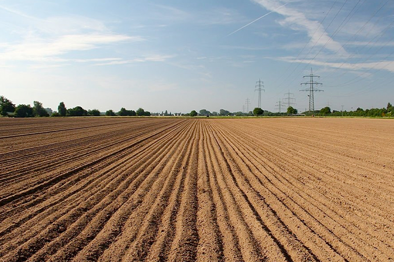 Foto: Divulgação Agrodefesa