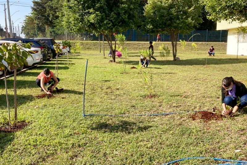 Foto: Divulgação / Semad