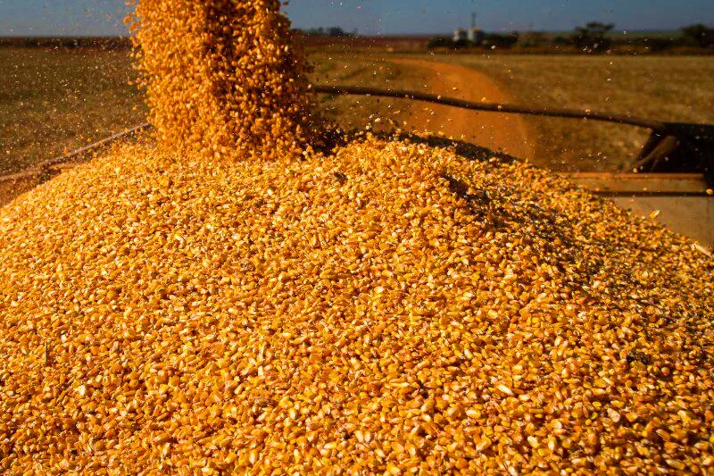 Exportações superam importações em mais de US$ 1 bilhão em Goiás, no mês de maio. Foto: Rodrigo Cabral.