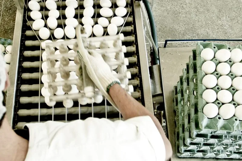 Foto: Wenderson Araujo/CNA