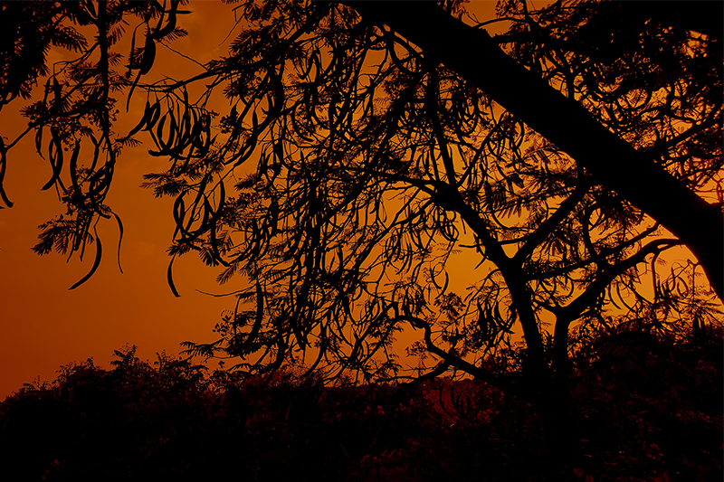 Foto de Exiphy na Unsplash.