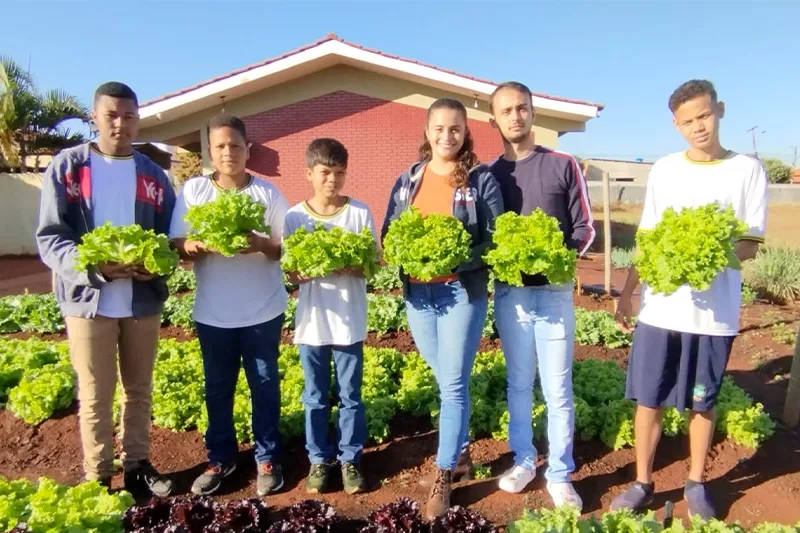 Hortas escolares agregam conhecimento e estimulam alimentação saudável de estudantes da rede estadual de ensino. Fotos: Seduc.