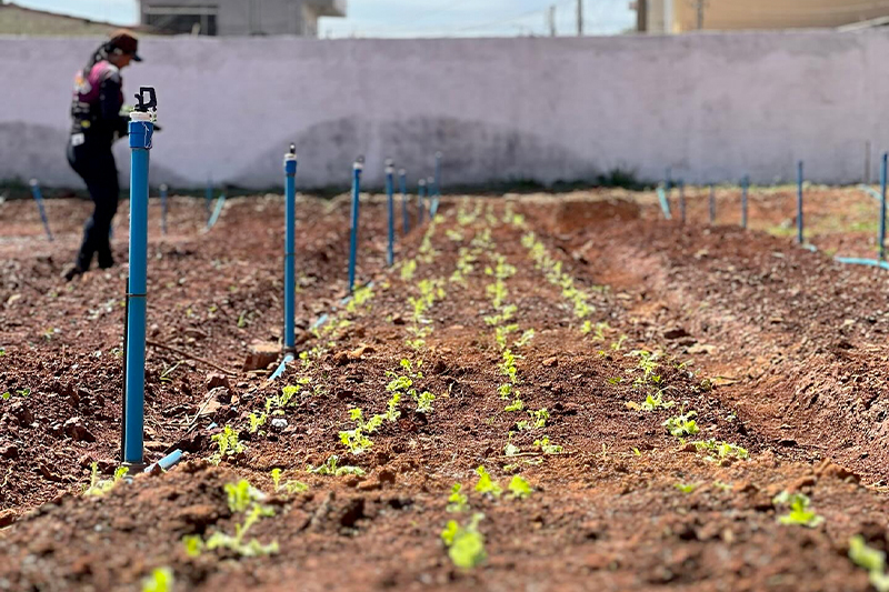 Foto: Prefeitura de Novo Gama.