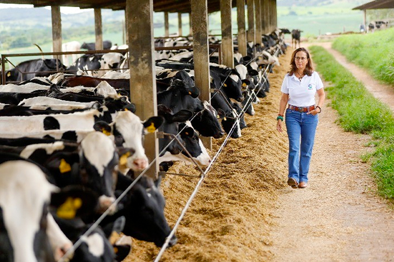Foto: Portal Agronegócio / Attuale Comunicação