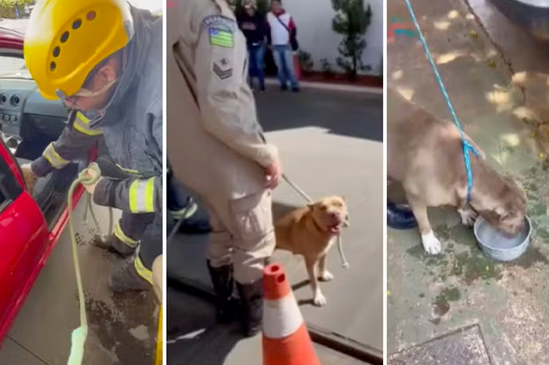 Imagem: Corpo de Bombeiros de Goiás.