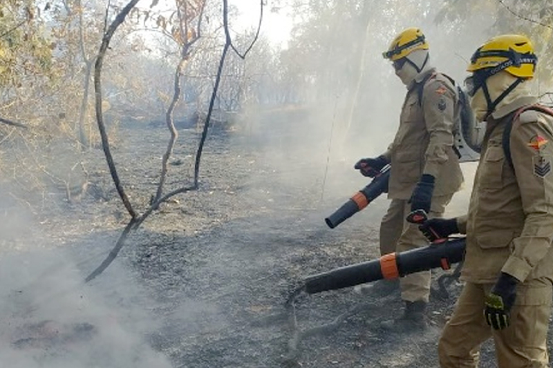 Foto: Corpo de Bombeiros.