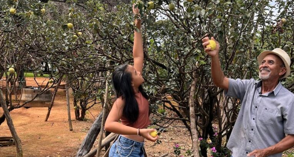 Foto: Secretaria do Entorno do Distrito Federal – Governo de Goiás.