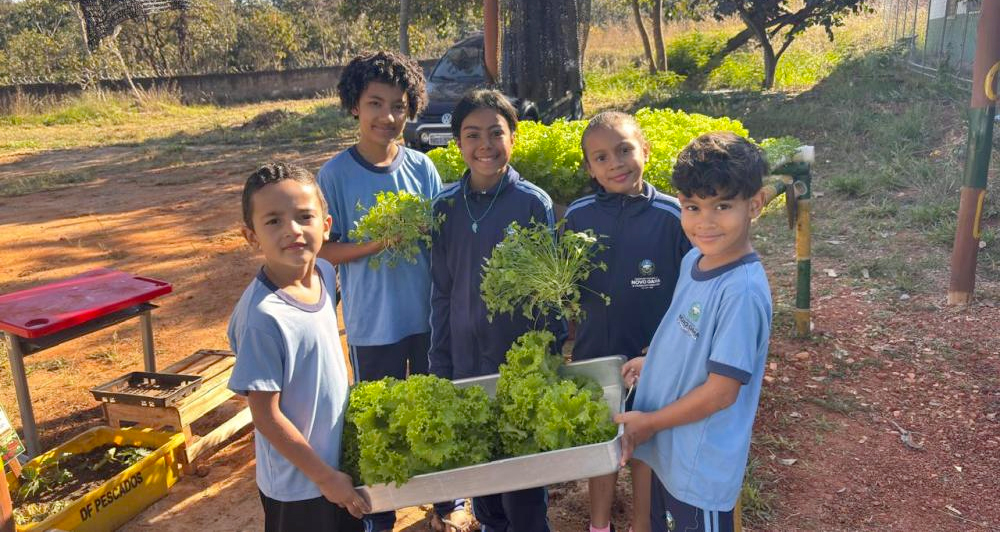 Estudantes da Escola Bernardo Élis participam das atividades do Programa Agrinho 2026 em Novo Gama.