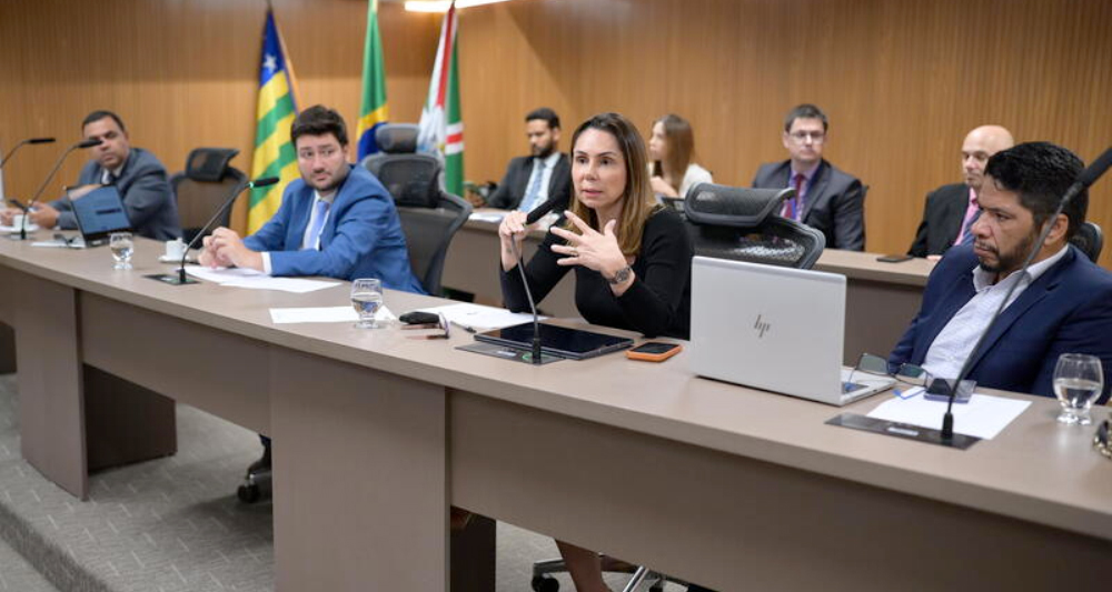 Secretária da Economia apresenta dados fiscais de Goiás na Alego